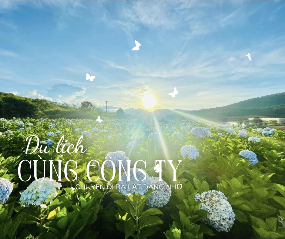 Thông báo lịch nghỉ mát công ty Ngọc Thiên 2024