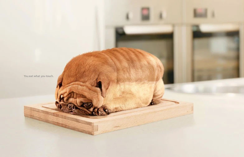 Nền Zoom hài hước