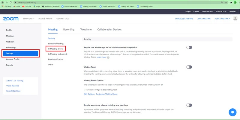 Bạn chọn Seetings trong mục Personal > Chọn In Meeting (Basic).