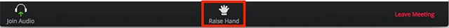 Cách giơ tay trên zoom webinar