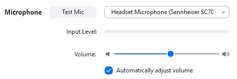Hướng dẫn cách test mic trong Zoom