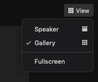 Chuyển đổi giữa chế độ xem Thư viện và chế độ xem Diễn giả trên Zoom trên máy tính